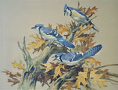 A painting of blue jays.