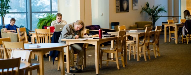 Students studying in the library.